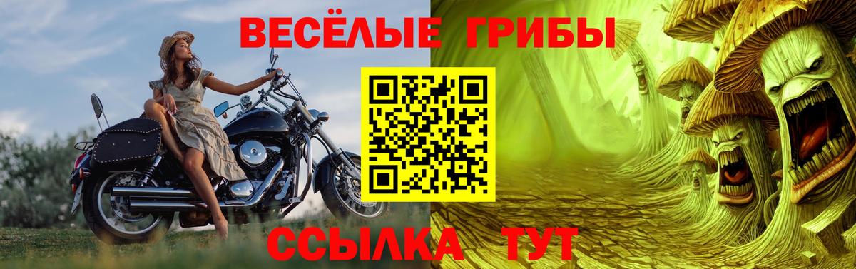 Псилоцибиновые грибы прущие грибы  Вход с VPN  Родники  Псилоцибиновые грибы Magic Shrooms 